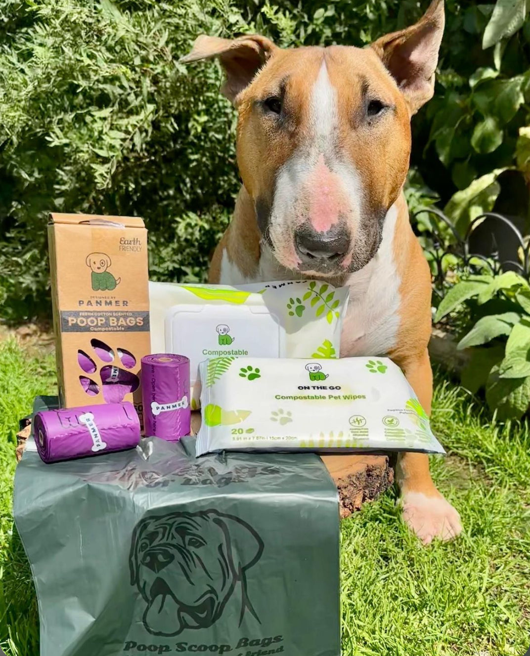 Making Eco-Friendly Choices for Your Furry Friends: The Importance of Sustainable Pet Supplies