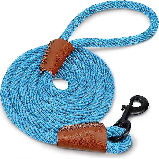 Dog Leads