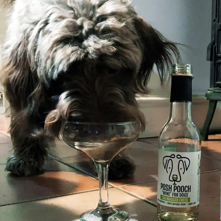 Woof&Brew Posh Pooch Dog 'wine' Treat - Pet Wipes & Poo Bags