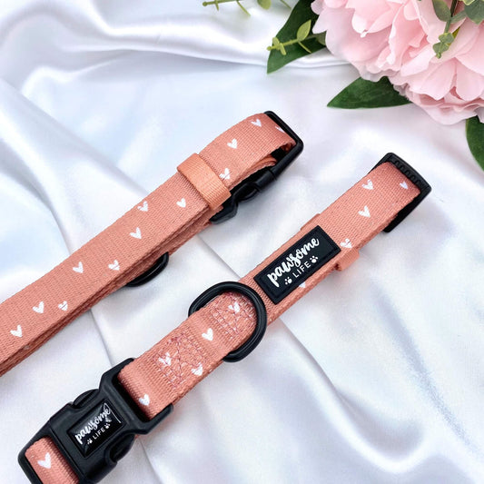 Cinnamon Hearts Dog Collar