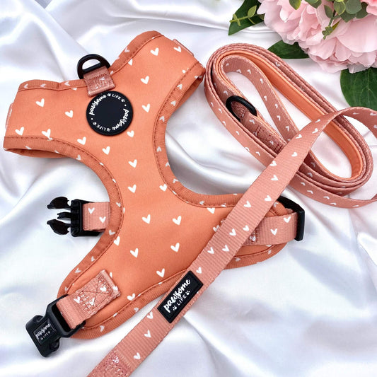 Cinnamon Hearts Dog Harness