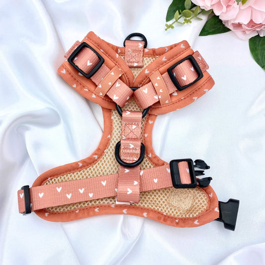 Cinnamon Hearts Dog Harness