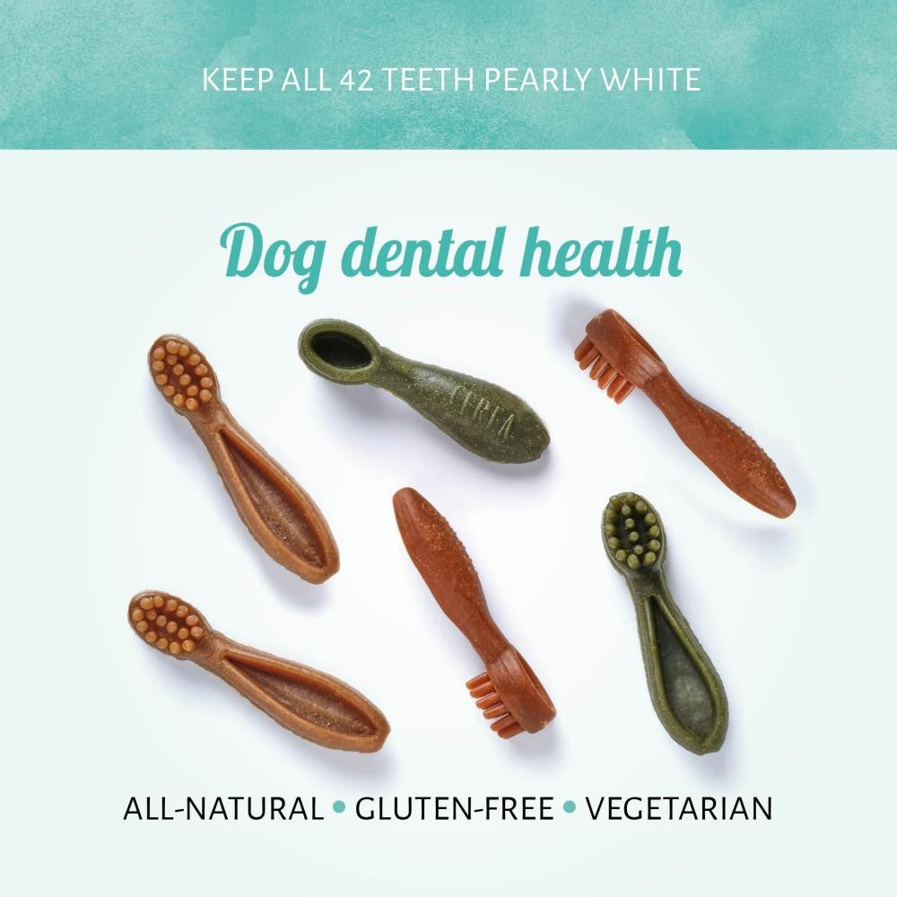 Antos Dog Chew - Vegetarian - Brush - Mixed Tub – 50 pieces (7cm) - Pet Wipes & Poo Bags