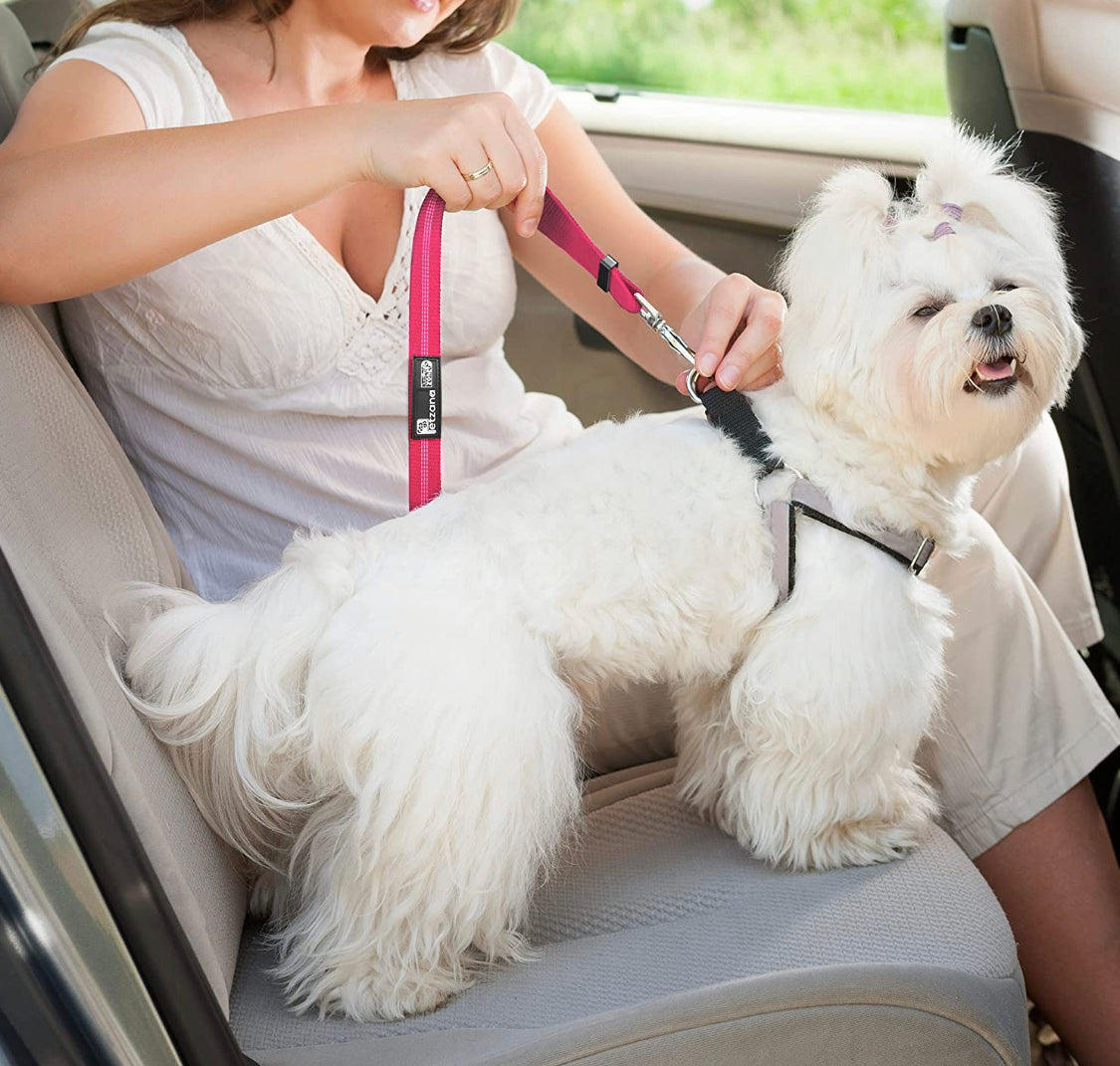 Seat Belt for Dogs - Pet Wipes & Poo Bags