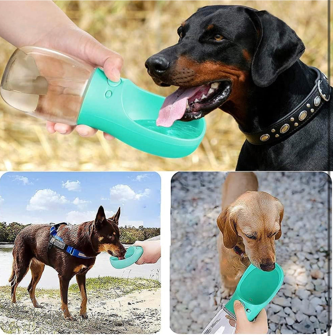 Dog Water Bottle - Portable - Pet Wipes & Poo Bags