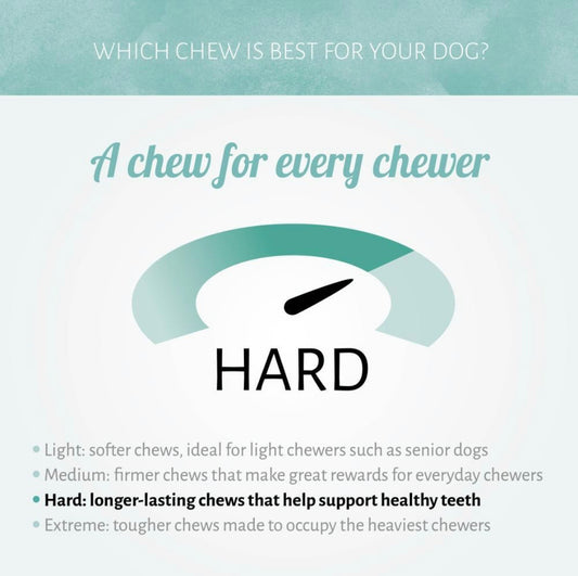 Antos - Cerea Brush Chews - Vegetarian - Assorted - Pet Wipes & Poo Bags