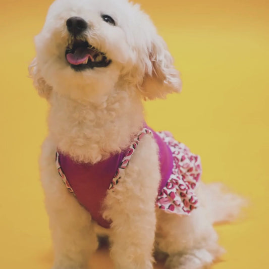 Pet Wipes For Dogs and All Pets Hypoallergenic Unscented Wipes