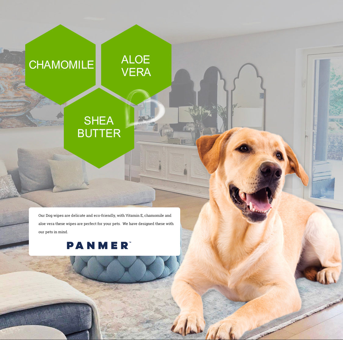 Eco-Friendly Dogs Wipes
