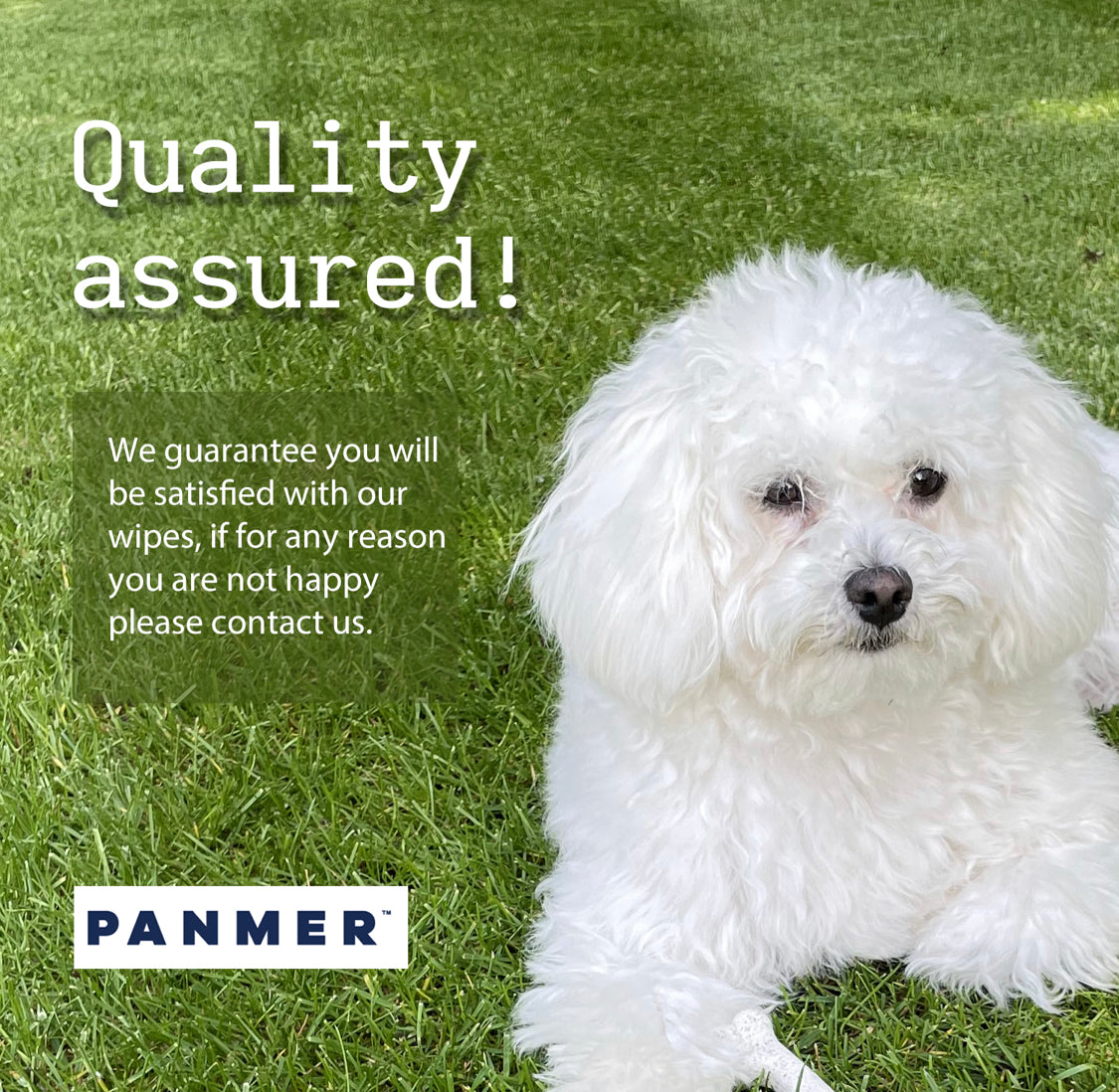 Eco-Friendly Hypoallergenic Pet Wipes