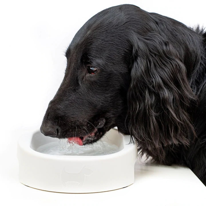 HERO BOWL URBAN GREY - Pet Wipes & Poo Bags