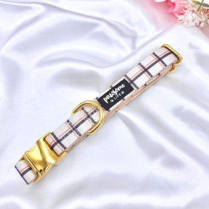 Back to Basics Dog Collar - Pet Wipes & Poo Bags