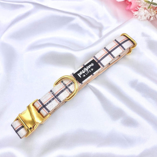 Back to Basics Dog Collar - Pet Wipes & Poo Bags