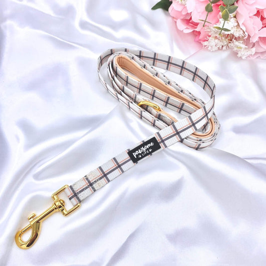 Back to Basics Dog Lead - Pet Wipes & Poo Bags