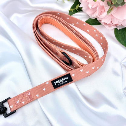 Cinnamon Hearts Dog Lead