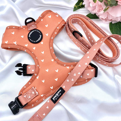 Cinnamon Hearts Dog Harness