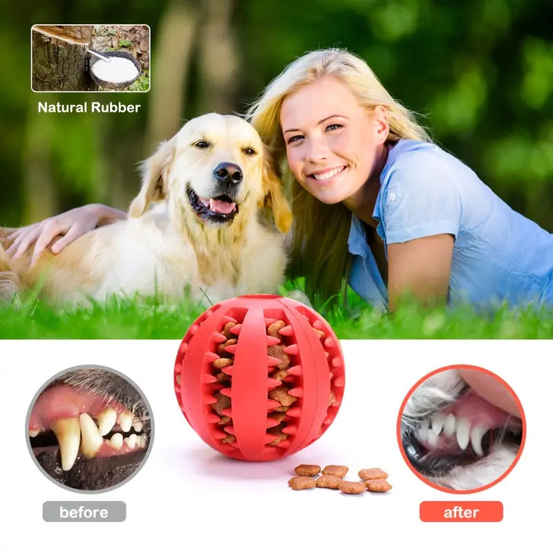 Dog Toy - Interactive Rubber Chew - Pet Wipes & Poo Bags