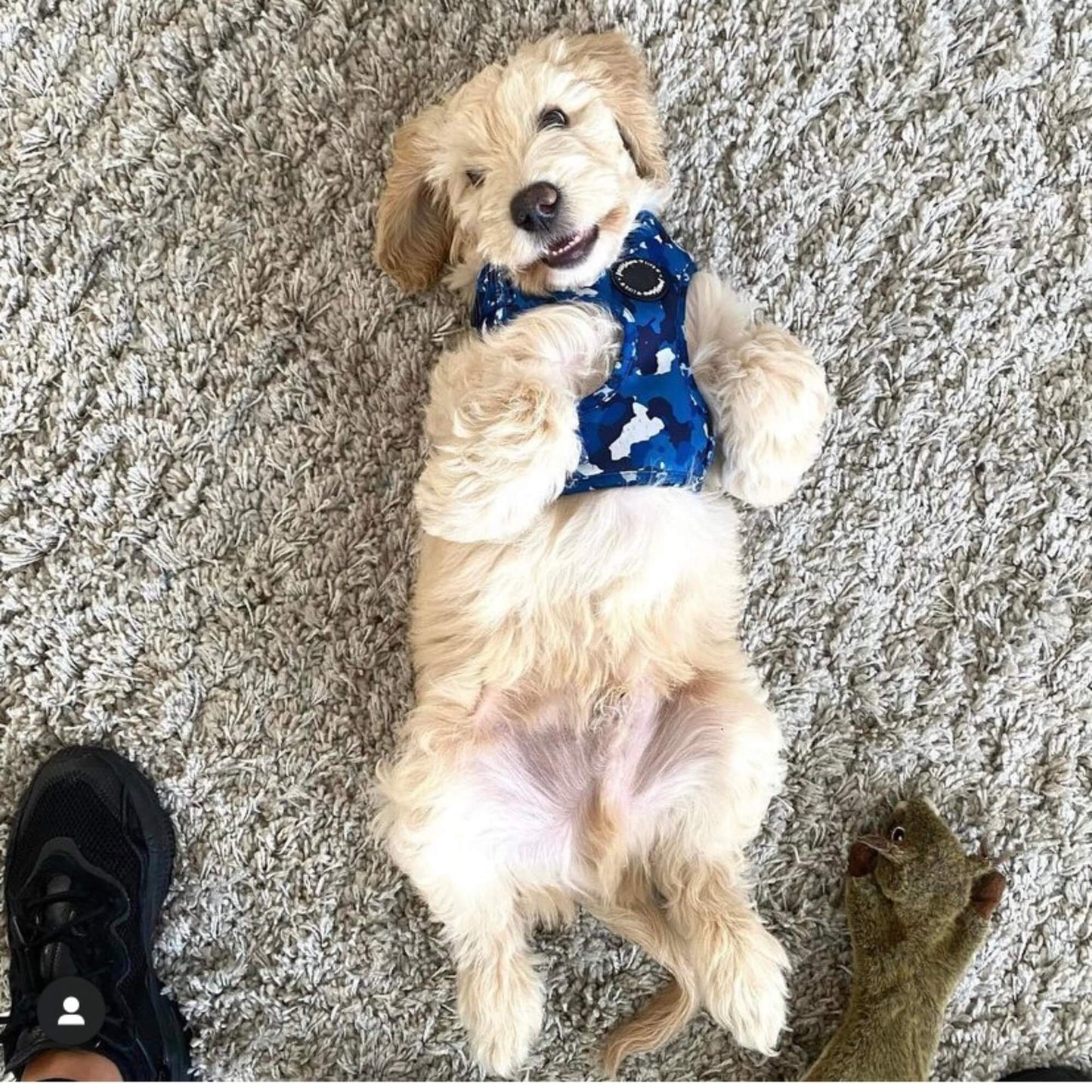 Blue Camo Dog Harness - Pet Wipes & Poo Bags