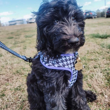 Chic Houndstooth Poop Bag Holder
