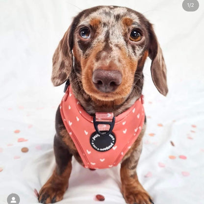Cinnamon Hearts Poop Bag Holder