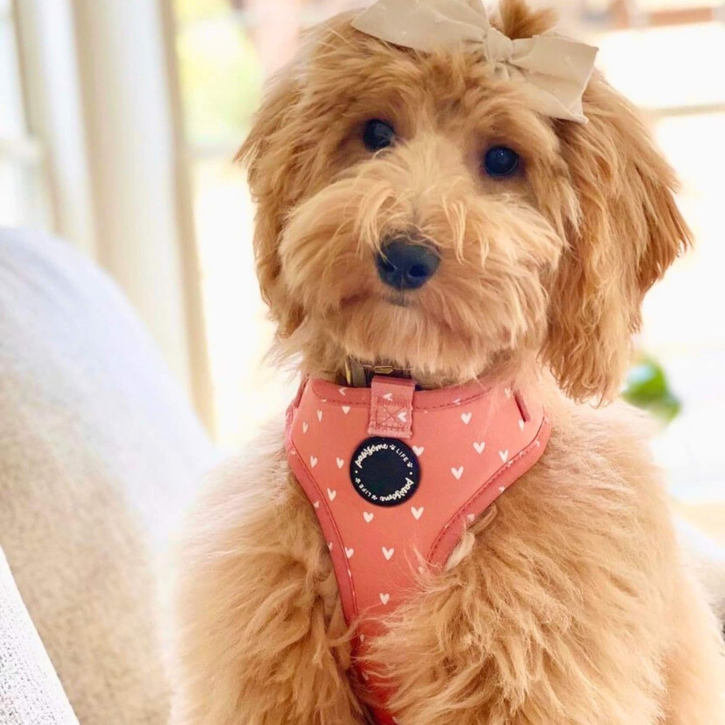Cinnamon Hearts Poop Bag Holder