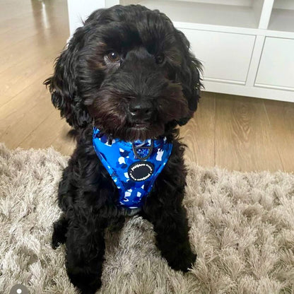 Blue Camo Dog Lead