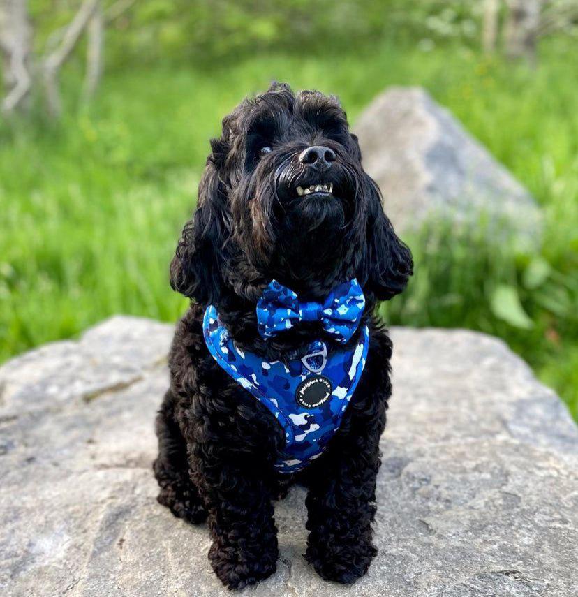 Blue Camo Dog Harness - Pet Wipes & Poo Bags
