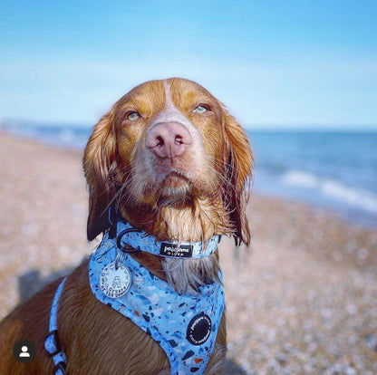 Terrazzo Dog Harness - Pet Wipes & Poo Bags