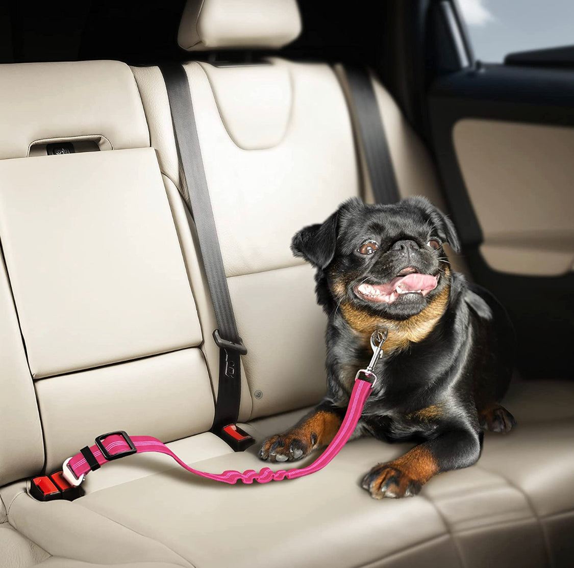 Seat Belt for Dogs - Pet Wipes & Poo Bags