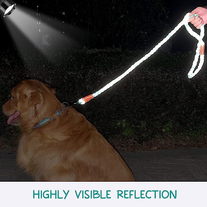 Dog Lead - Reflective - Large Dogs - Pet Wipes & Poo Bags